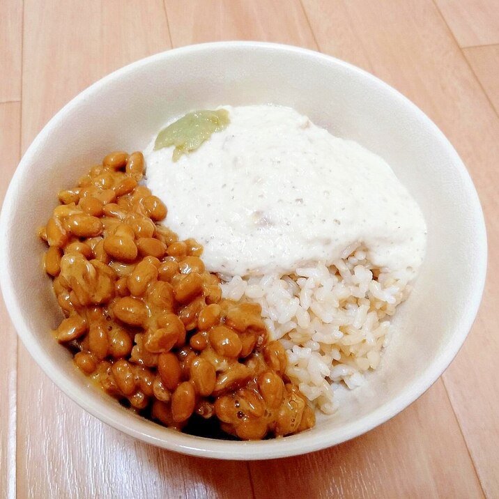 ミキサーですりおろす！山の芋とろろのネバネバ丼